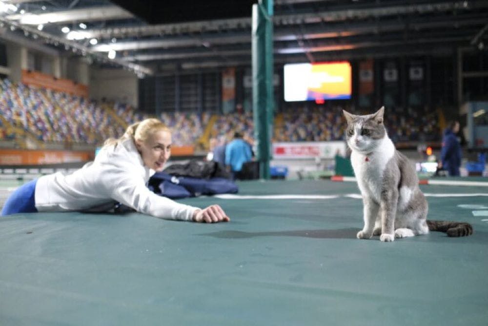 Τα κλικ της προπόνησης των διεθνών μας στην Atakoy Arena runbeat.gr